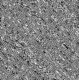 53