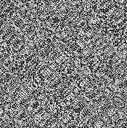 81