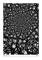 Haystack Situation #20250201