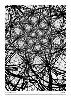 Haystack Situation #20250211
