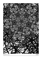 Haystack Situation #20250412