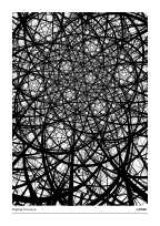Haystack Situation #20250811