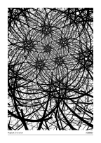 Haystack Situation #20260215