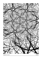 Haystack Situation #20260301