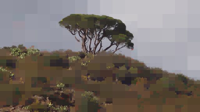 A partially pixelated tree