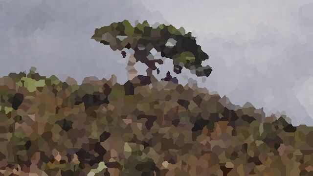 An irregularly pixelated tree